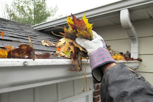 Eaves Cleaning in Terre Haute