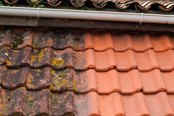Industrial Roof Cleaning in Terre Haute