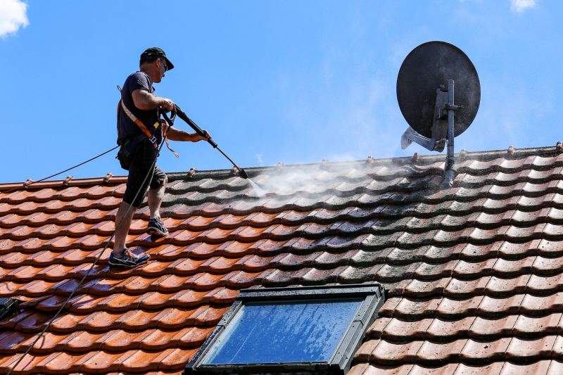 Roofline Cleaning